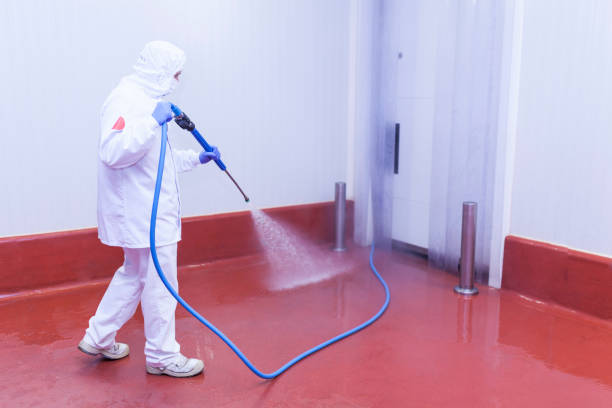 Professional Pressure Washing Services in West Bay Shore, NY